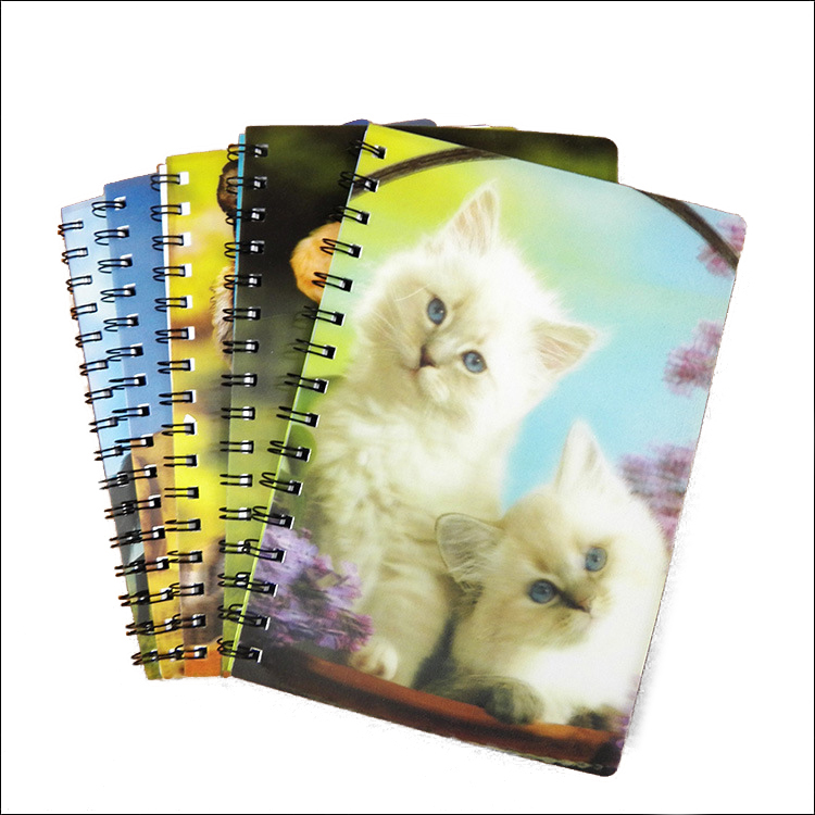 3D 14.4*10.2CM BIG CATS NOTE IN 48PC DIAPLAY BOX