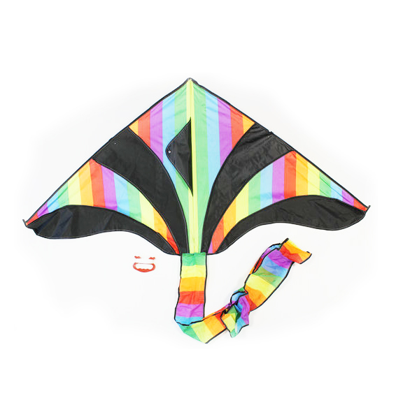 2ASST 1.5M X 70CM FLYING KITES EACJ IN NYLON CARRY BAG